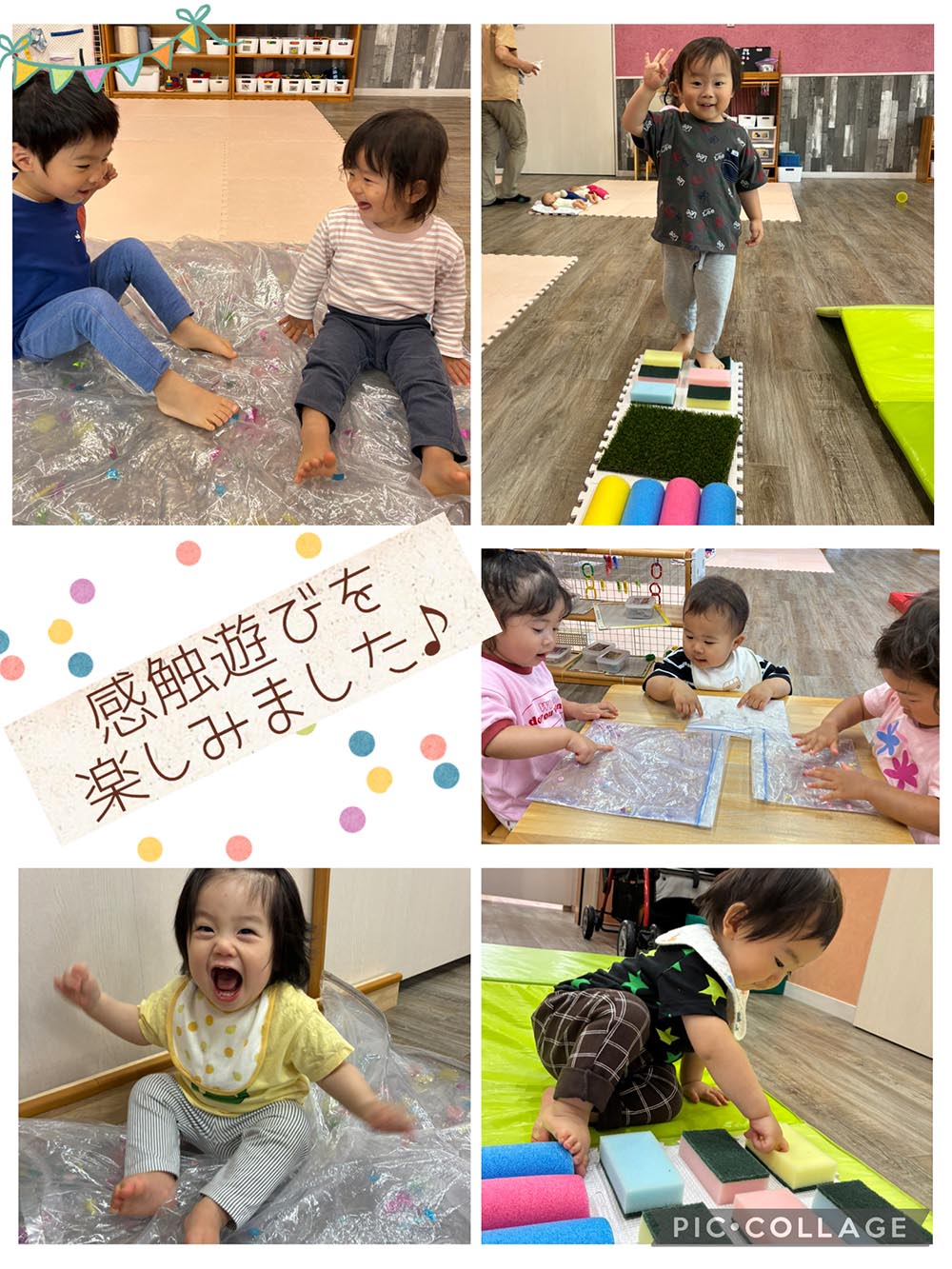梅雨の季節もお部屋で楽しむよ♪